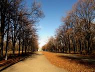 Глеюватка з panoramio.com