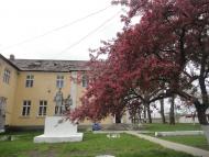 Фанчиково з panoramio.com