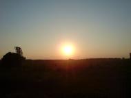 Чома з panoramio.com