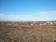 Vasylivka - Latest photos