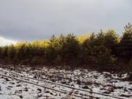 Самотоївка з panoramio.com