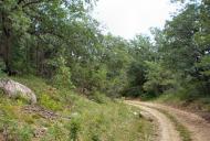 Головановка - Последние фото