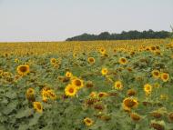 Біляївка - Останні фото