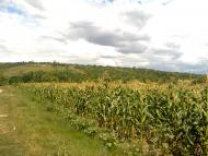 Верхня Слобідка з panoramio.com