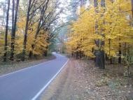 Прохорівка з panoramio.com