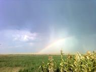 Ольгопіль з panoramio.com