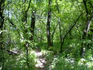 Щастя з panoramio.com