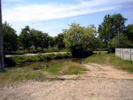 Кунин з panoramio.com