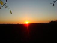 Грушеве з panoramio.com