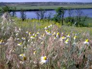 Мішково-Погорілове з panoramio.com