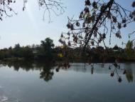 Бабаї з panoramio.com