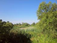 Кусії з panoramio.com