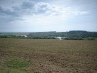 Василівка з panoramio.com