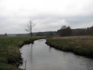 Яблучне з panoramio.com