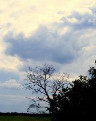 Забарине з panoramio.com