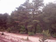 Лисняки з panoramio.com