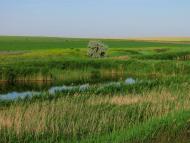 Волна з panoramio.com