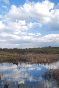 Бунів з panoramio.com