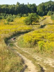 Повча з panoramio.com