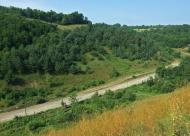 Кудринці з panoramio.com