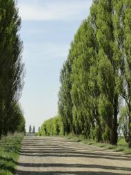 Хорохорин - Останні фото