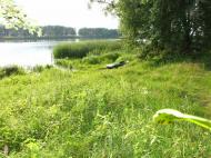 Гавронщина - Останні фото