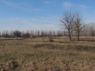 Новомайське з panoramio.com