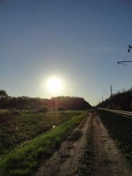 Жабка - Останні фото