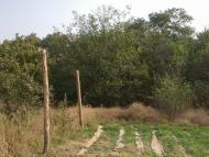 Кружилівка з panoramio.com