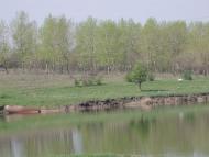 Грушеве з panoramio.com