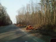 Великі Мости - Останні фото