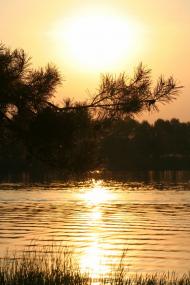 Гавронщина з panoramio.com