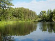 Березна з panoramio.com