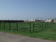 Грушевое - Последние фото