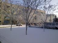 Новотроїцьке - Останні фото