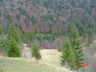 Береги з panoramio.com