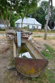 Шпичинці літом 2015