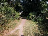 Тарасівка - Останні фото