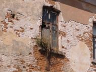 Один день в Острі