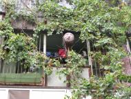 Один день в Острі