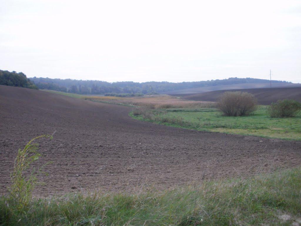 Чижівка з panoramio.com - Чижівка