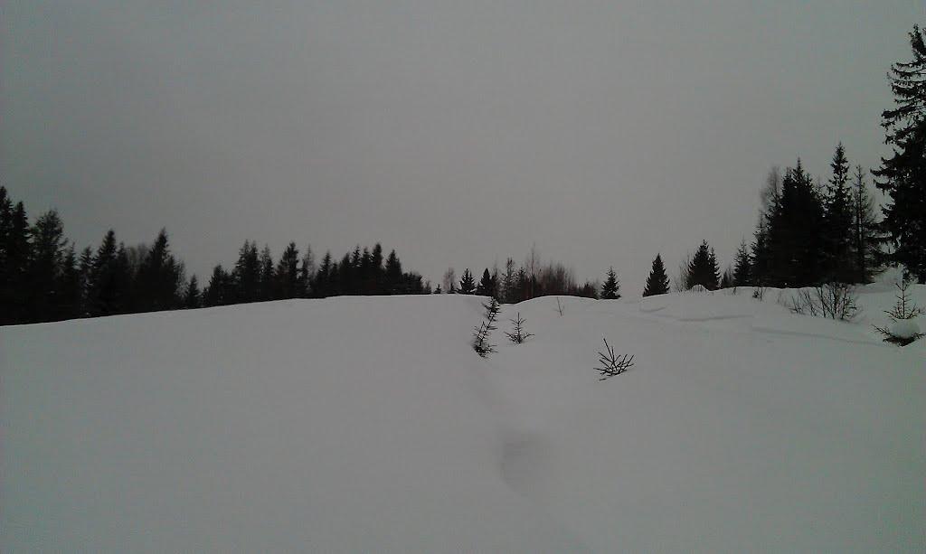 Тухолька з panoramio.com - Тухолька