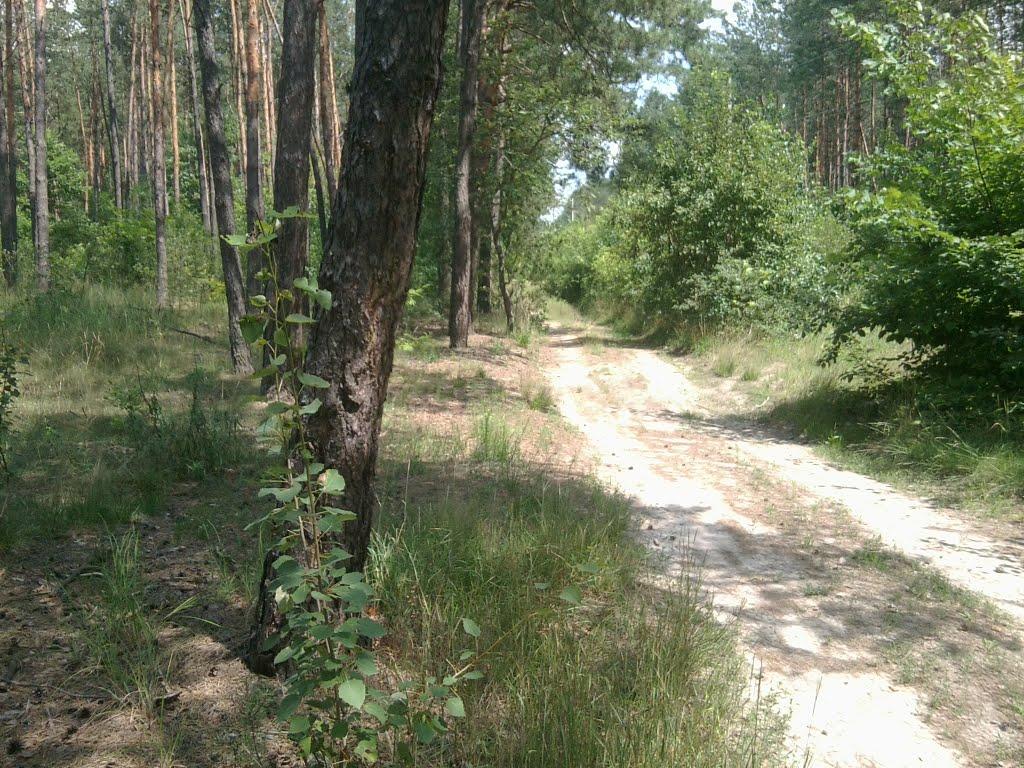 Шостка з panoramio.com - Шостка