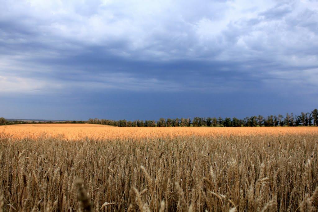 Первомайський з panoramio.com - Первомайський