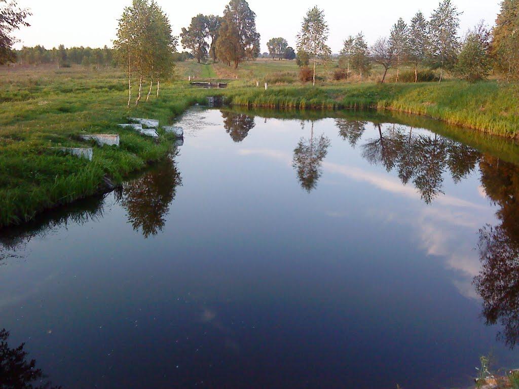 Велика Ведмежка з panoramio.com - Велика Ведмежка