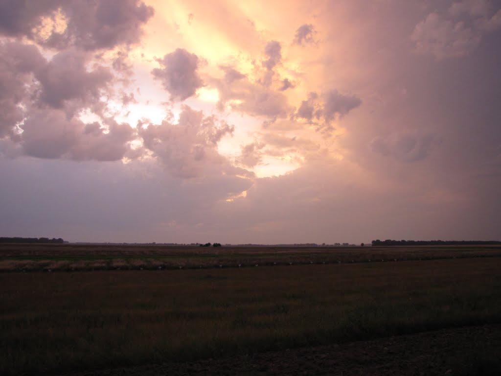 Кіпті з panoramio.com - Кіпті