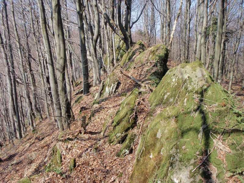 Вишка з panoramio.com - Вышка