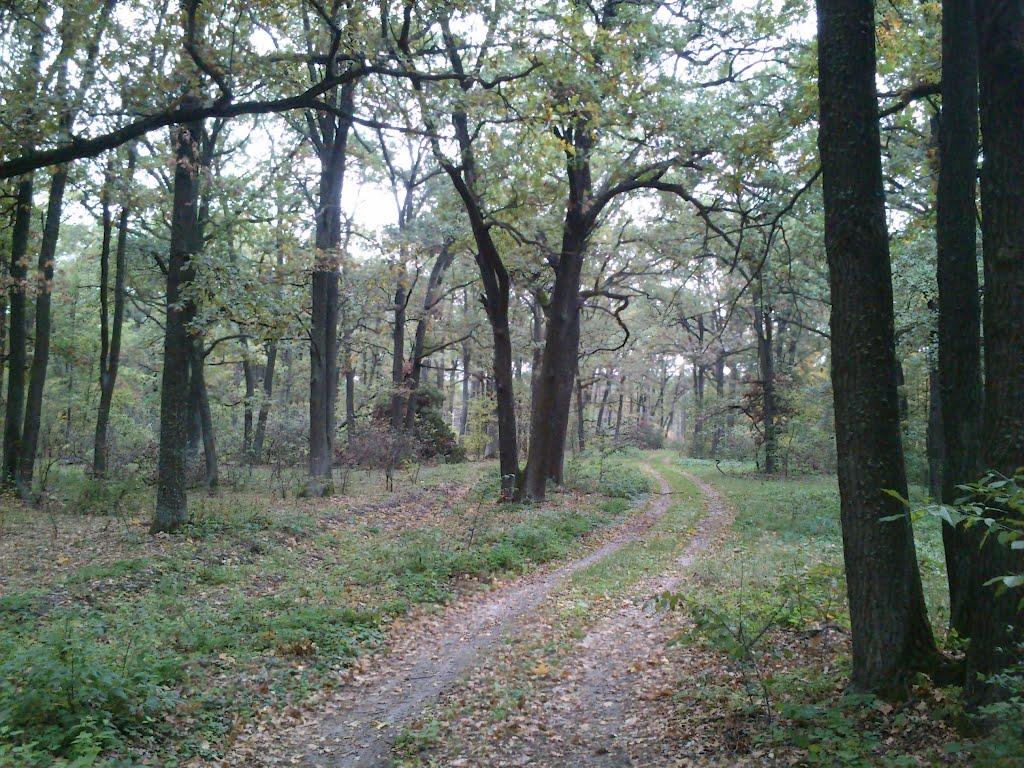 Любка з panoramio.com - Любка