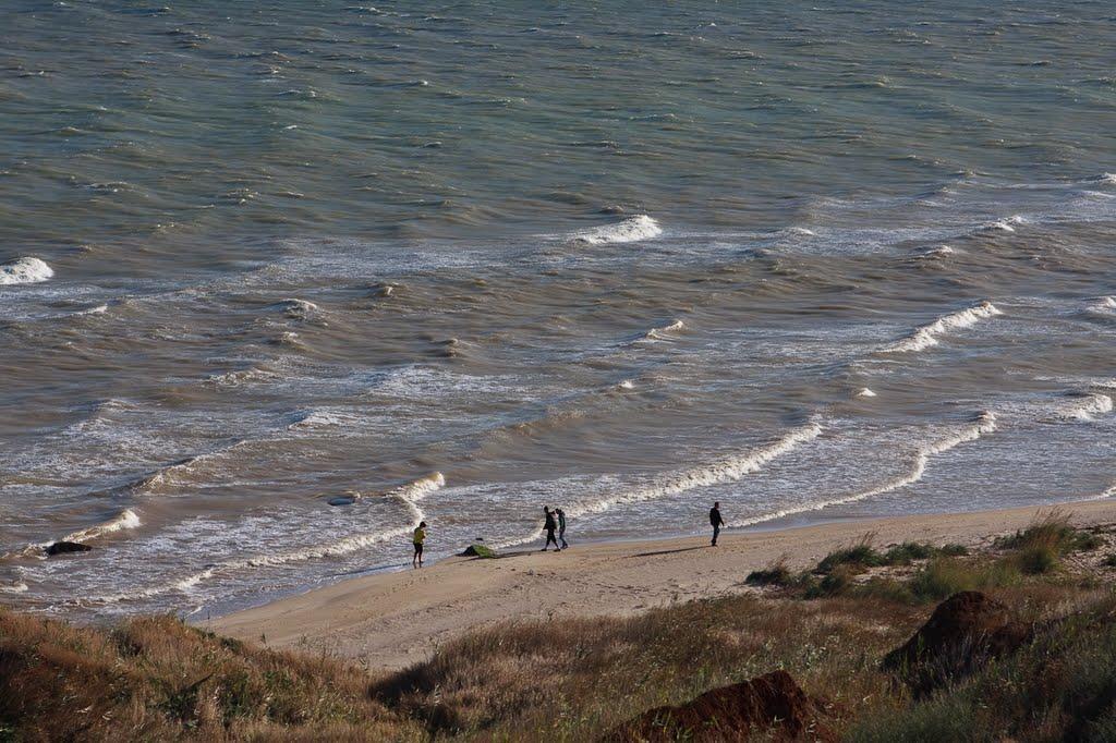 Дмитрівка з panoramio.com - Дмитрівка