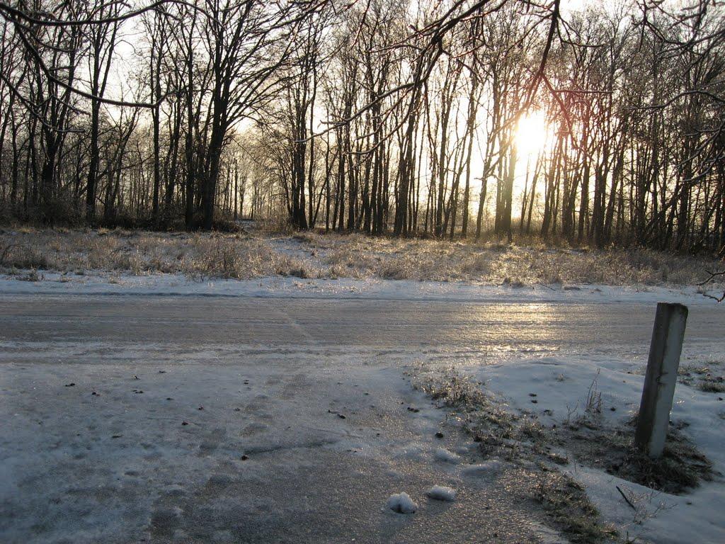 Трепівка з panoramio.com - Трепівка